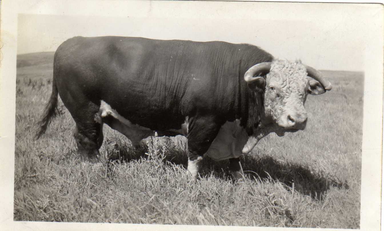 Jay Sundgren and The Sun Ranch Story Ranchland Trust of Kansas